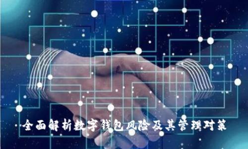 全面解析数字钱包风险及其管理对策