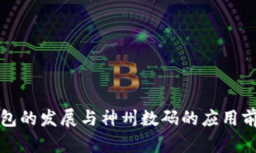 数字钱包的发展与神州数码的应用前景分析