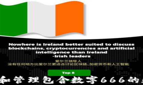 
如何选择和管理包含数字666的数字钱包？