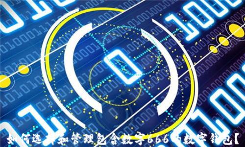
如何选择和管理包含数字666的数字钱包？