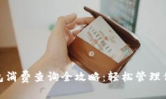数字钱包消费查询全攻略