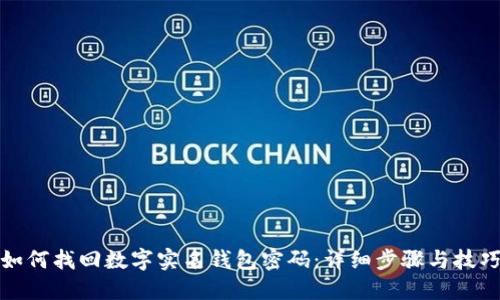 如何找回数字实名钱包密码：详细步骤与技巧