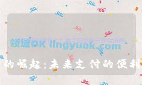 数字钱包硬卡的崛起：未来支付的便利与安全性分析