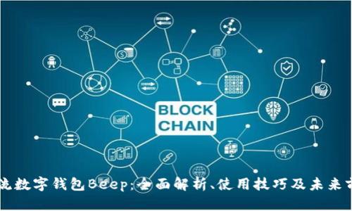 主流数字钱包Beep：全面解析、使用技巧及未来前景