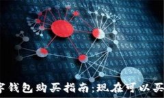  数字钱包购买指南：现在