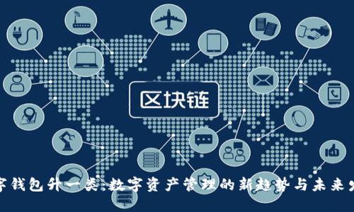 数字钱包升一类：数字资产管理的新趋势与未来发展