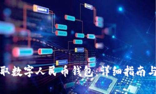 如何在海口领取数字人民币钱包：详细指南与常见问题解答