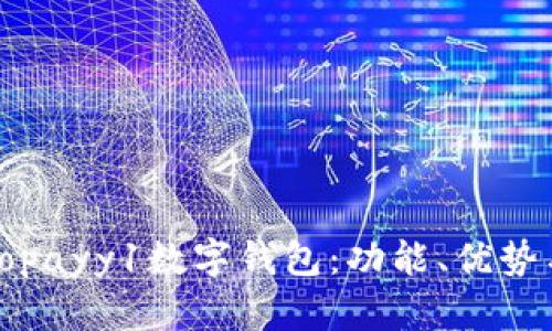全面解析Topayy1数字钱包：功能、优势与未来发展