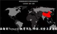 全面解析Topayy1数字钱包：