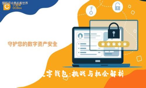 开发数字钱包：挑战与机会解析