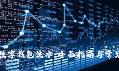 如何查看数字钱包流水：全面指南与常见问题解答