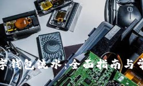 如何查看数字钱包流水：全面指南与常见问题解答