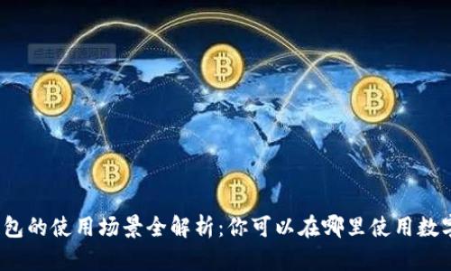数字钱包的使用场景全解析：你可以在哪里使用数字钱包?