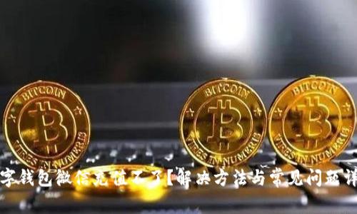 数字钱包微信充值不了？解决方法与常见问题详解