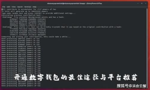 开通数字钱包的最佳途径与平台推荐