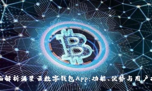 全面解析满星云数字钱包App：功能、优势与用户指南