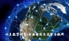 小麦数字钱包：全面解析