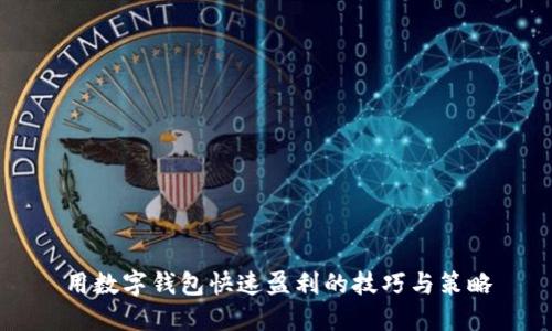 用数字钱包快速盈利的技巧与策略
