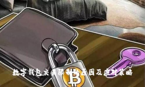数字钱包交易限制的原因及应对策略