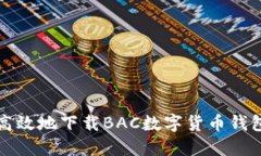 如何安全高效地下载BAC数