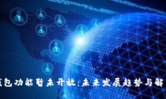 数字钱包功能暂未开放：