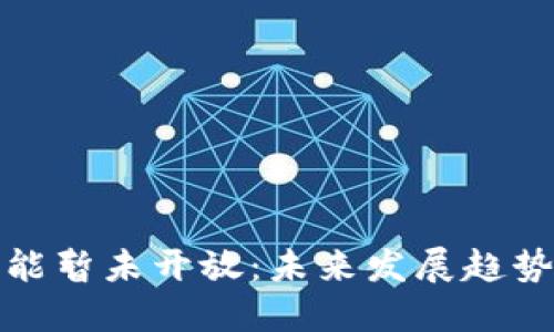 数字钱包功能暂未开放：未来发展趋势与解决方案