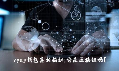 vpay钱包真相揭秘：它是区块链吗？