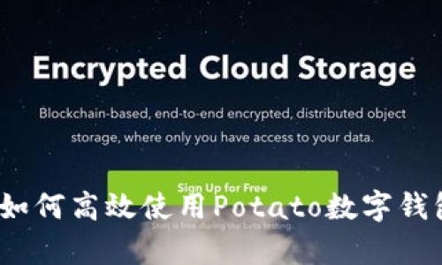 全面解析：如何高效使用Potato数字钱包及其功能