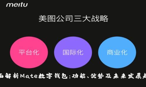 全面解析Mate数字钱包：功能、优势及未来发展趋势