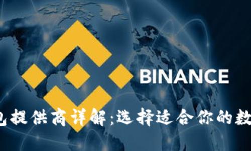2023年最佳加密钱包提供商详解：选择适合你的数字资产安全解决方案