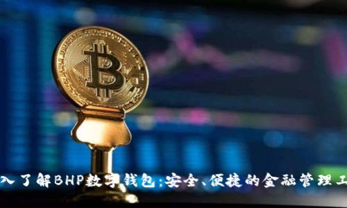深入了解BHP数字钱包：安全、便捷的金融管理工具