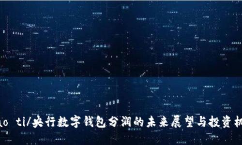biao ti/央行数字钱包分润的未来展望与投资机会