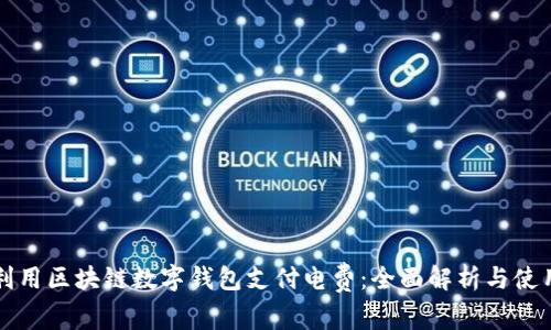 如何利用区块链数字钱包支付电费：全面解析与使用指南