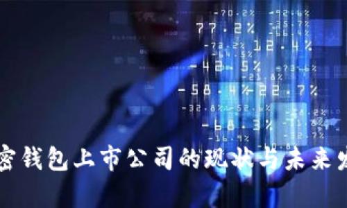 中国加密钱包上市公司的现状与未来发展分析