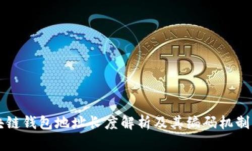 区块链钱包地址长度解析及其编码机制详解