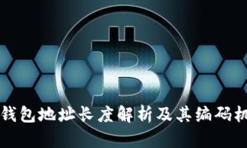 区块链钱包地址长度解析及其编码机制详解