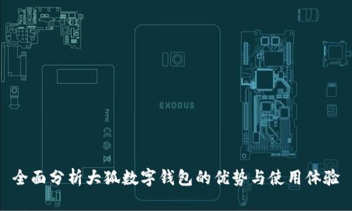 全面分析大狐数字钱包的优势与使用体验