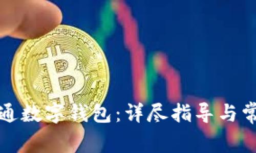 如何申请开通数字钱包：详尽指导与常见问题解答