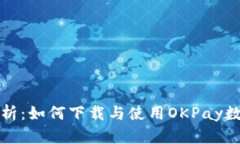 全面解析：如何下载与使