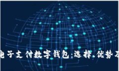 全面解析电子支付数字钱