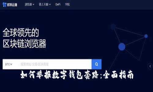 如何举报数字钱包套路：全面指南