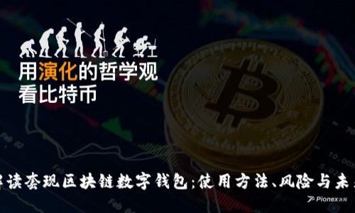 全面解读套现区块链数字钱包：使用方法、风险与未来趋势