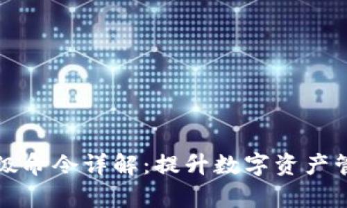 区块链钱包高级命令详解：提升数字资产管理效率的秘钥