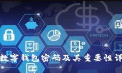: 数字钱包密码及其重要性