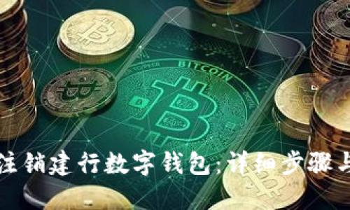 如何注销建行数字钱包：详细步骤与解答