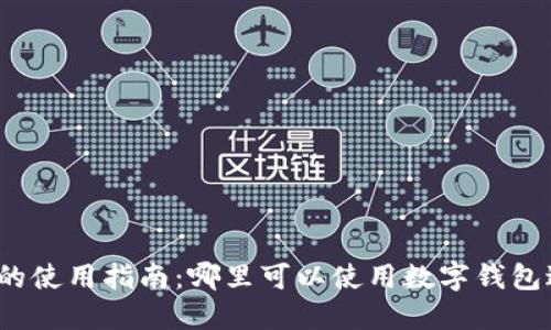 数字钱包的使用指南：哪里可以使用数字钱包进行支付？