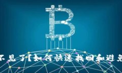 数字钱包余额不见了？如何快速找回和避免损失