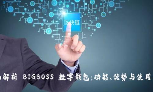 全面解析 BIGBOSS 数字钱包：功能、优势与使用指南