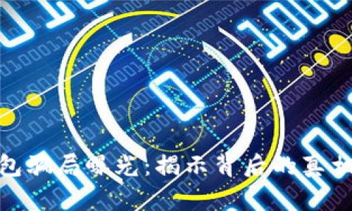 加密货币钱包骗局曝光：揭示背后的真相与防范措施