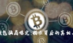 加密货币钱包骗局曝光：
